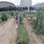 菜園教室・環境学習（令和2年度【第1回】）を開催しました【大阪府茨木市】