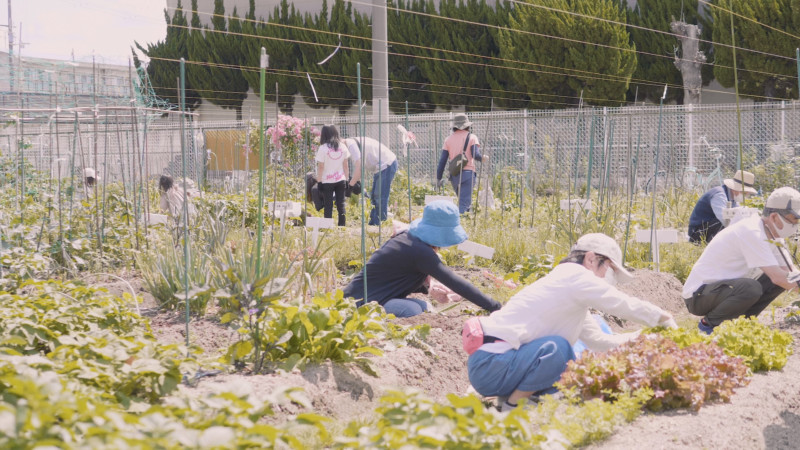 菜園教室 環境学習 令和2年度 第４回 を開催しました 大阪府茨木市 Npo法人 地球環境再生機構